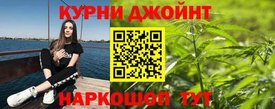 стаф Бийск