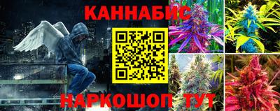 стаф Бийск