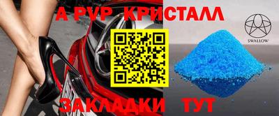стаф Бийск