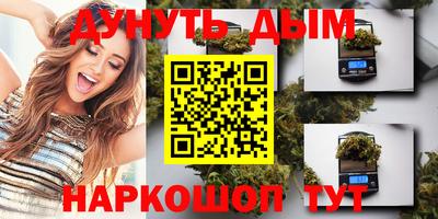 стаф Бийск
