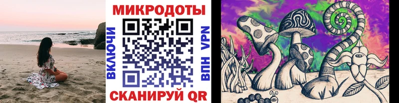 Псилоцибиновые грибы Psilocybine cubensis  это какой сайт  Домодедово 