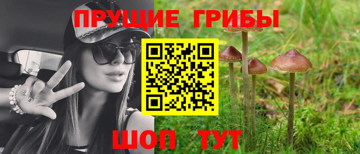 Галлюциногенные грибы Magic Shrooms Домодедово