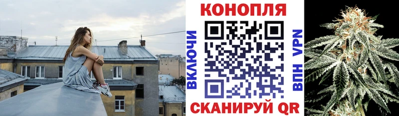 Шишки марихуана план  как найти закладки  Домодедово 